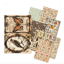 A5 Rice Paper Pack - Cabinet of Curiosities - 8 Sheets - Ciao Bella