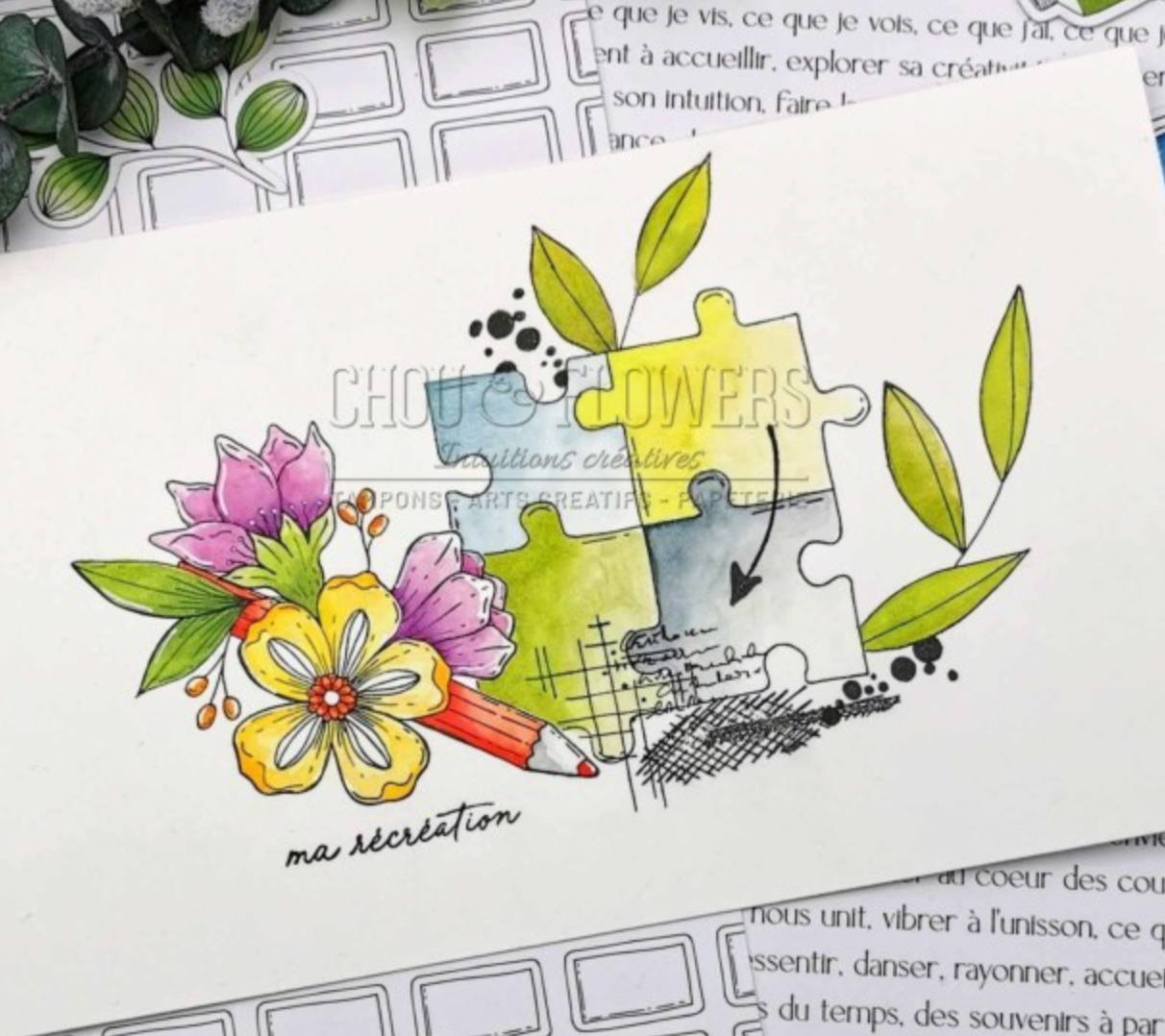 Clear Stamp - A6 - Color Splash - Chou and Flowers