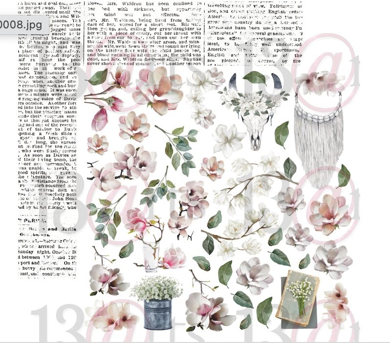 13 @rts - MAGNOLIA DREAMS Paper Set 12x12 Inch 13 @rts