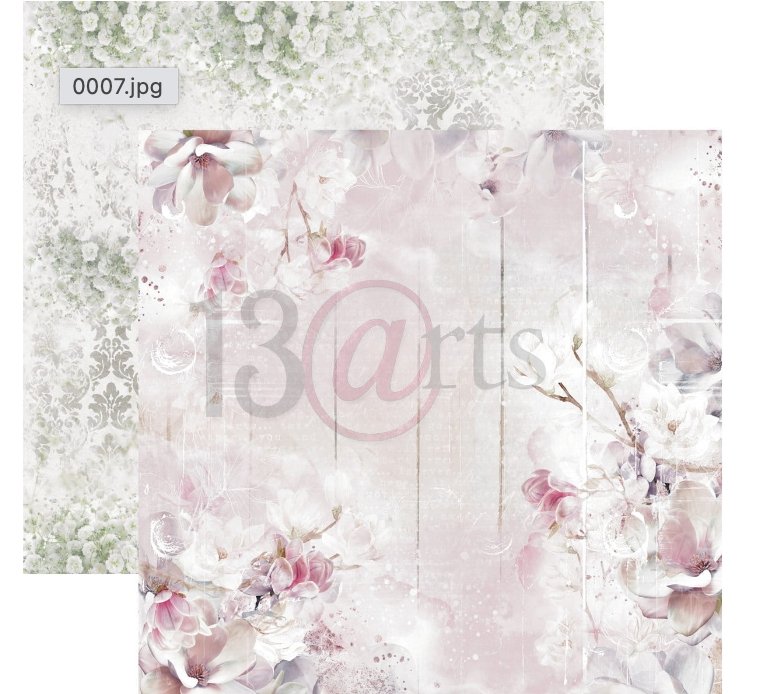 13 @rts - MAGNOLIA DREAMS Paper Set 12x12 Inch 13 @rts