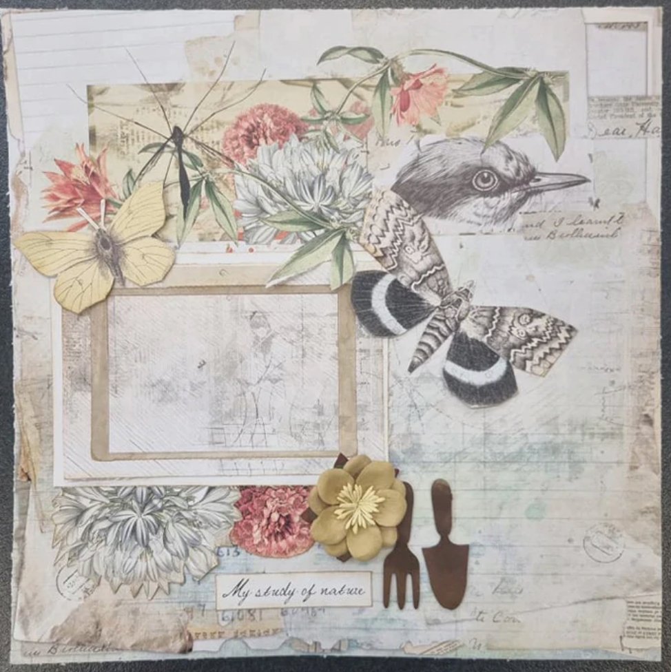 3Quarter Designs Botany Studies Collection 12x12 Inch 3Quarter Designs