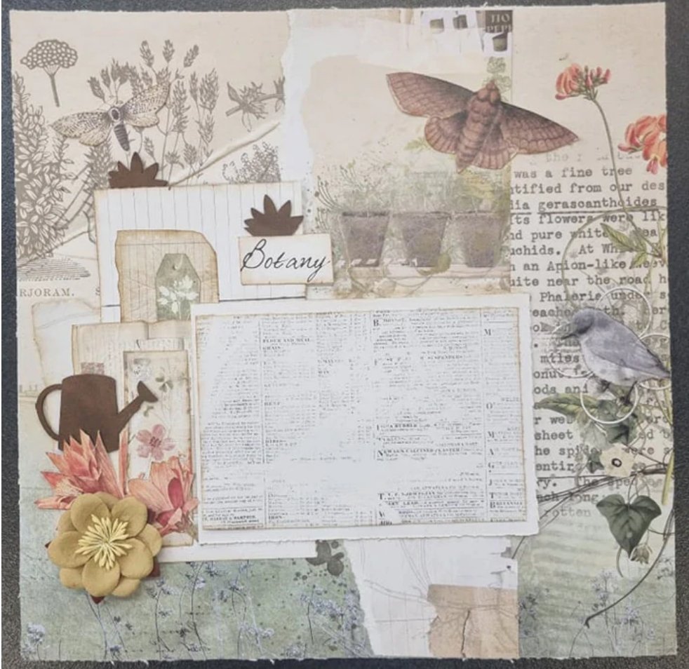 3Quarter Designs Botany Studies Collection 12x12 Inch 3Quarter Designs