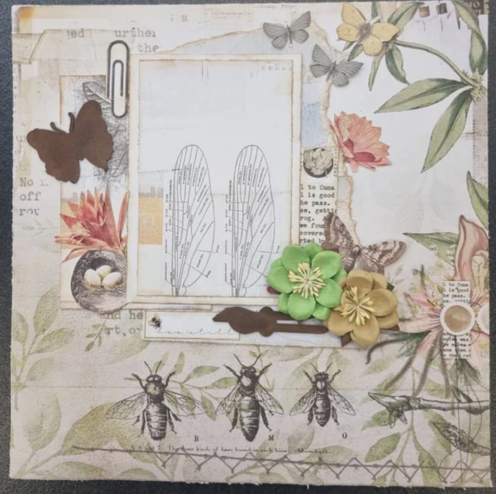 3Quarter Designs Botany Studies Collection 12x12 Inch 3Quarter Designs