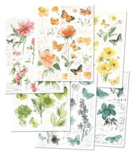 49 and Market - Spectrum Sherbet Botanical Rub-On Transfer Set - Messy Papercrafts