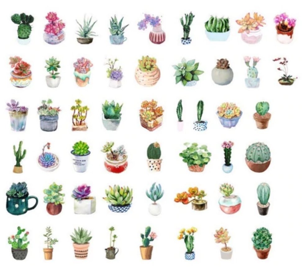 50 Piece Succulents Delight Planner Stickers Washi Tape Shop