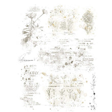 Textbook Blends 01 - Essential Rub-Ons - 6x8 Inch - 2/Sheets - 49 And Market