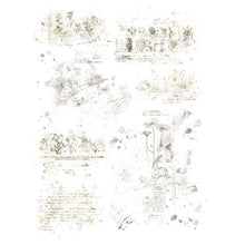 Textbook Blends 01 - Essential Rub-Ons - 6x8 Inch - 2/Sheets - 49 And Market