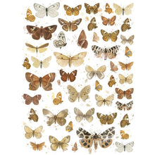 Butterflies 01 - Essential Rub-Ons - 6x8 Inch - 2/Sheets - 49 And Market