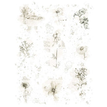 Vintage Blendables 02 - Essential Rub-Ons - 6x8 Inch - 2/Sheets - 49 And Market