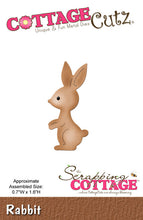 2x3 Rabbit - Die - Cottage Cutz