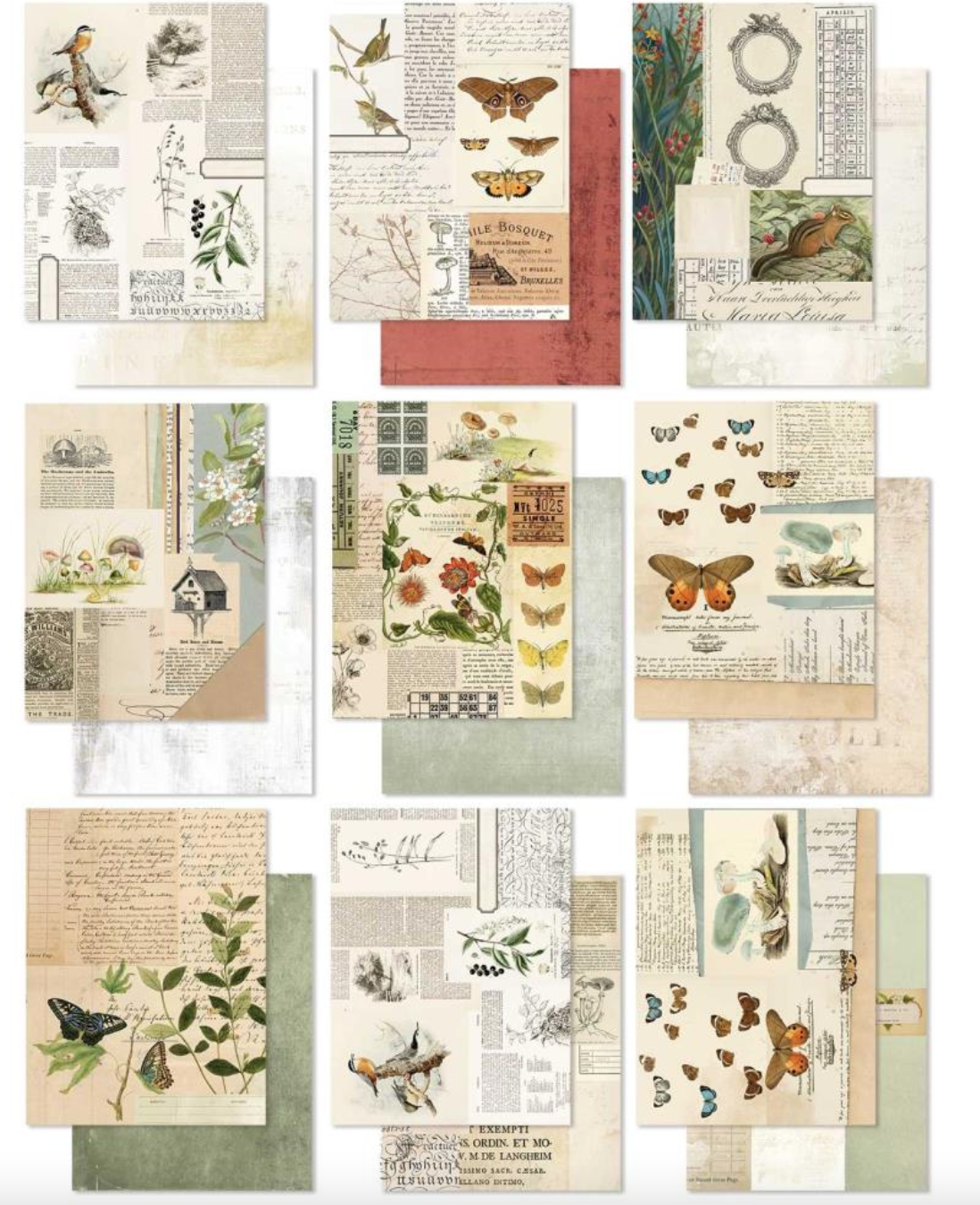 Collection Paper Pack 6x8 Inch - Curators Meadow - 49 And Market