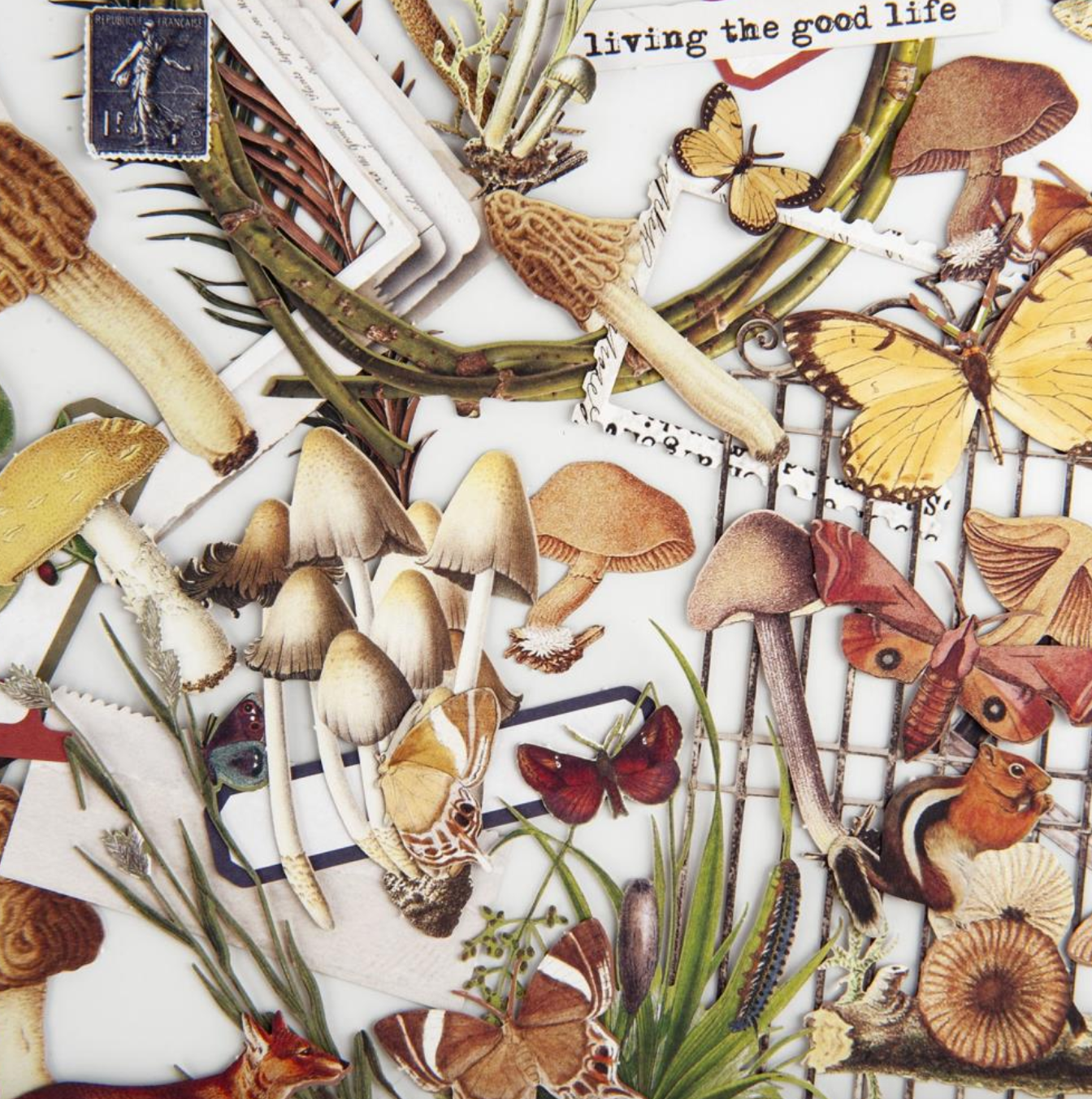 Laser Cut Outs - Curators Meadow - 49 And Market