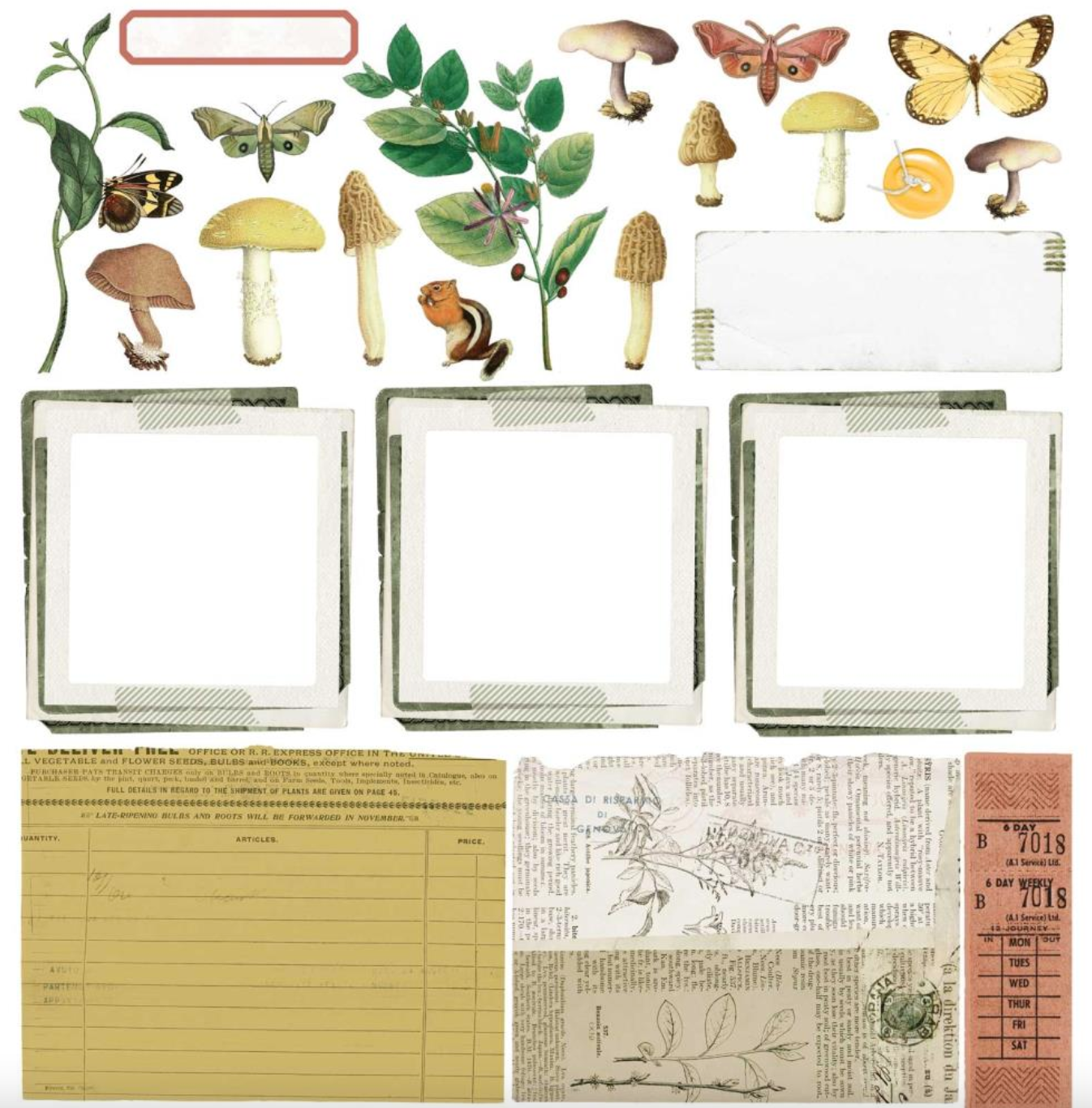 Collection Paper Pack 12 x 12 Inch - Curators Meadow - 49 And Market