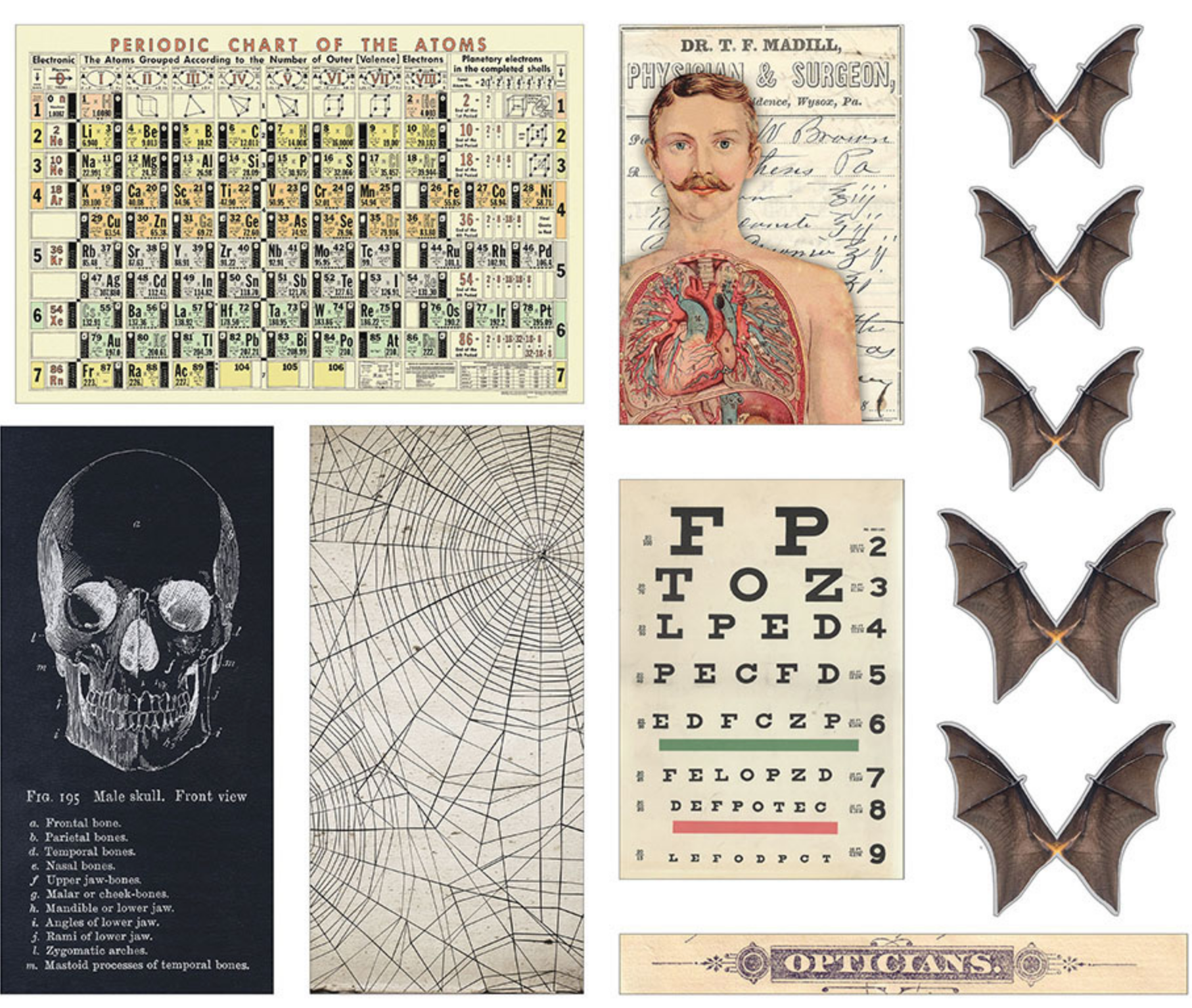 Halloween - Transparencies - Tim Holtz - Ideaology