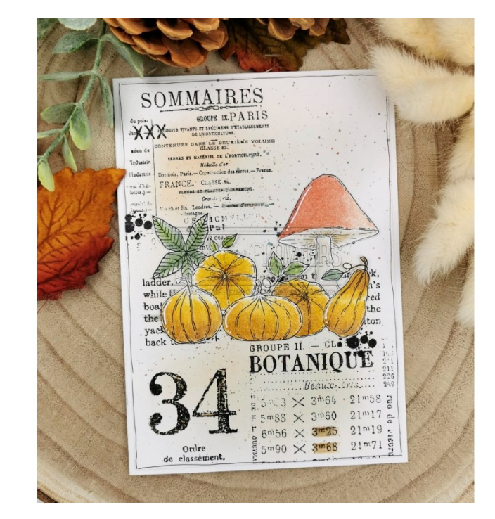 Clear Stamp Set 4x9 - FOND TEXTE SOMMAIRES - Chou and Flowers