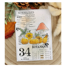 Clear Stamp Set 4x9 - FOND TEXTE SOMMAIRES - Chou and Flowers