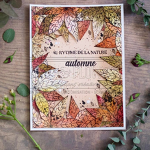 Clear Stamp Set - FEUILLE D'AUTOMNE - Chou and Flowers