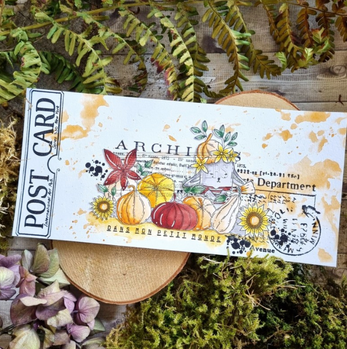 Archives / Texture - Rubber Stamp Set - 4x7 Inch - Chou and Flowers