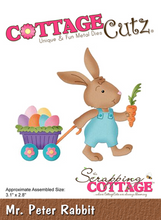 3x3 Mr Peter Rabbit - Die - Cottage Cutz