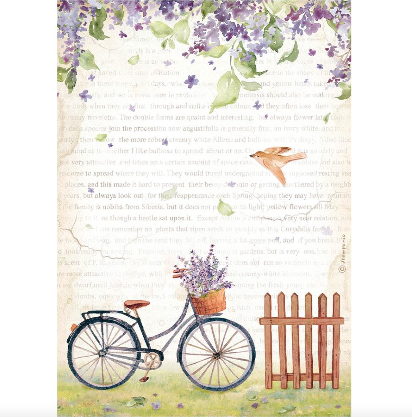 A4 Rice Paper - Bicycle - Create Happiness Welcome Home - Stamperia