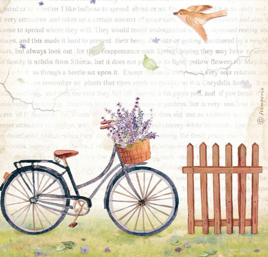 A4 Rice Paper - Bicycle - Create Happiness Welcome Home - Stamperia