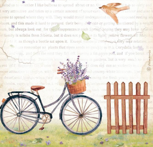 A4 Rice Paper - Bicycle - Create Happiness Welcome Home - Stamperia
