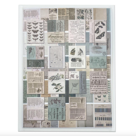 Collage Sheets - 6x8 - Color Swatch - Eucalyptus - 49 and Market - 40 Sheets