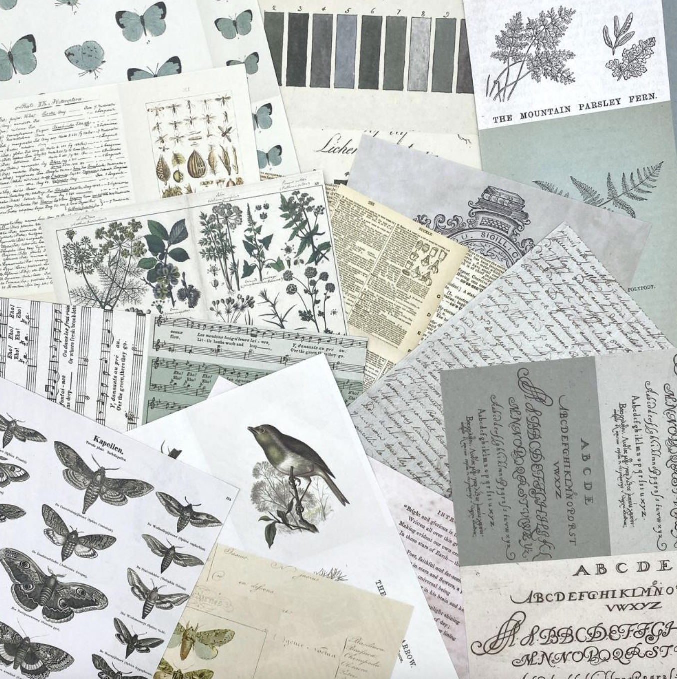 Collage Sheets - 6x8 - Color Swatch - Eucalyptus - 49 and Market - 40 Sheets