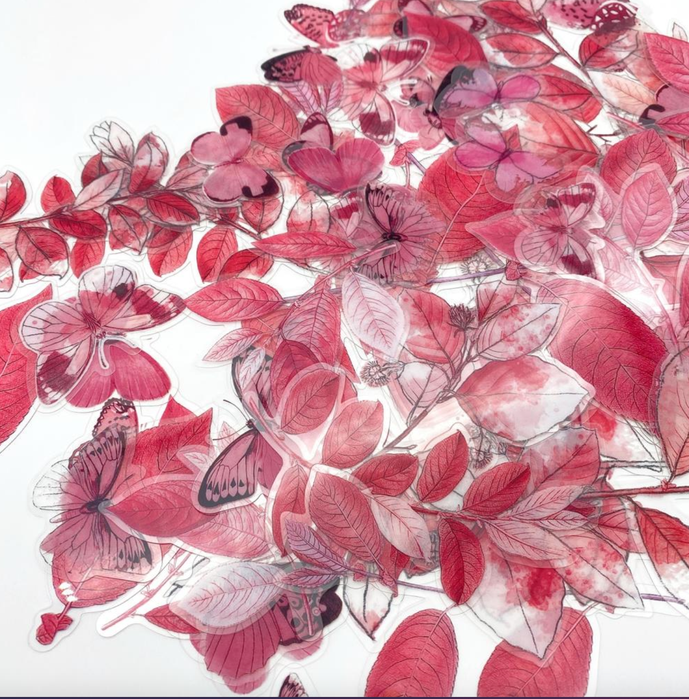 Acetate Leaves - Ephemera - Color Swatch Blossom - 49 And Market