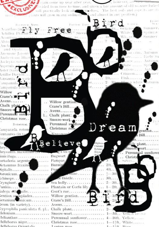 AALL and Create - Bird & B - A7 - Designer Tracy Evans - Clear Stamp Set - #901