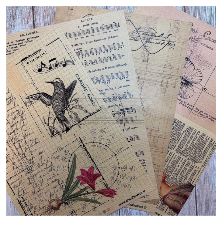 A4 Paper Set - 18 Sheets - Victoria Street - Chou and Flowers