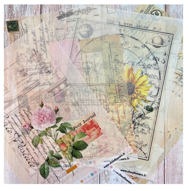 A4 Paper Set - 18 Sheets - Victoria Street - Chou and Flowers