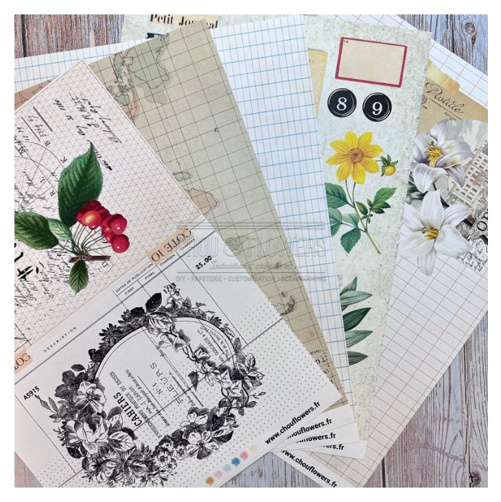 A4 Paper Set - 18 Sheets - Victoria Street - Chou and Flowers