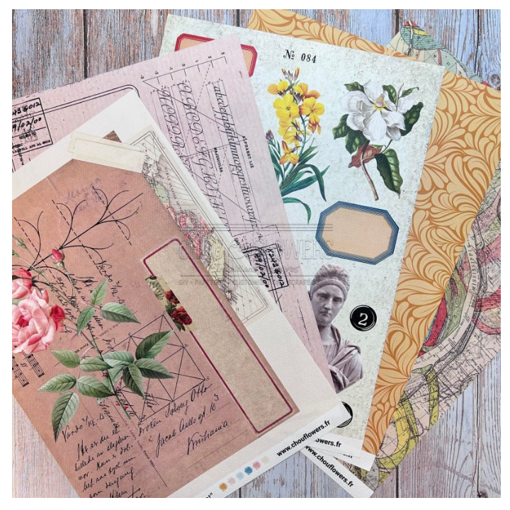 A4 Paper Set - 18 Sheets - Victoria Street - Chou and Flowers