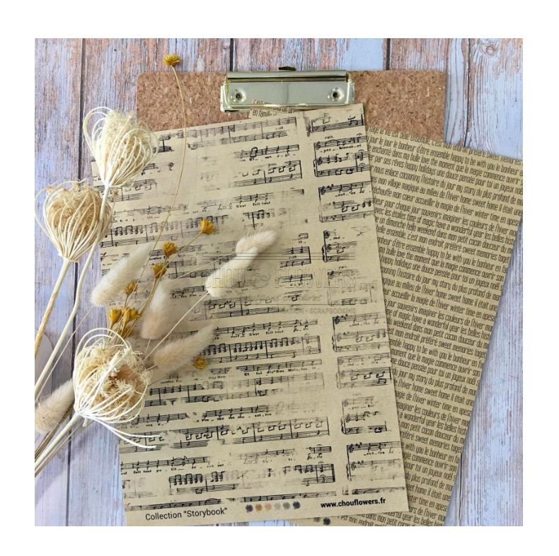 A4 Paper Set - 10 Sheets - Storybook - Chou and Flowers