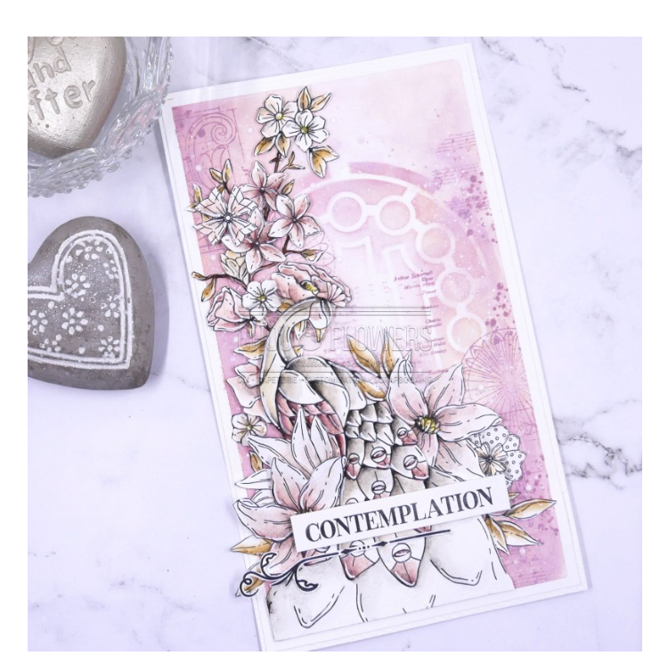 Stained Glass / Vitrail - Stencil - Chou and Flowers