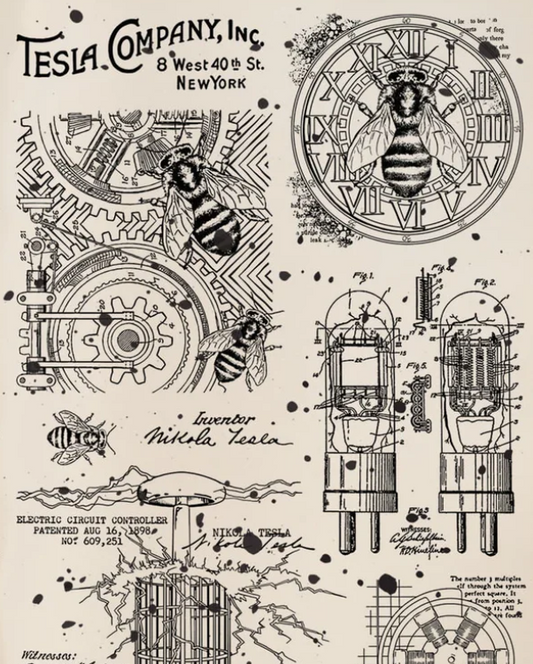 Clear Stamp Set - Tesla Company - 6x8 - Ciao Bella