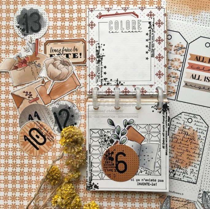 Chou and Flowers - LITTLE CIRCUS ILLUSTRATIONS - 9 beautiful papers - A5 - 170g Chou and Flowers