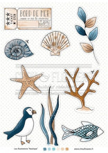 Chou and Flowers - NAUTICAL ILLUSTRATIONS Chou and Flowers