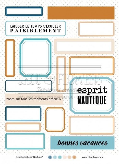 Chou and Flowers - NAUTICAL ILLUSTRATIONS Chou and Flowers