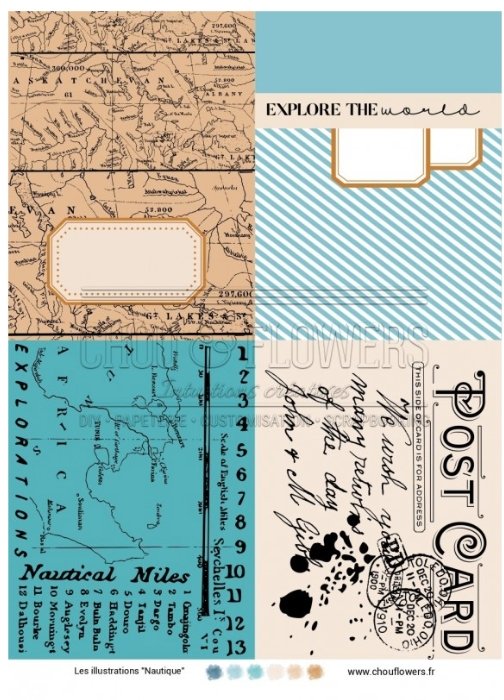 Chou and Flowers - NAUTICAL ILLUSTRATIONS Chou and Flowers