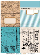 Chou and Flowers - NAUTICAL ILLUSTRATIONS Chou and Flowers