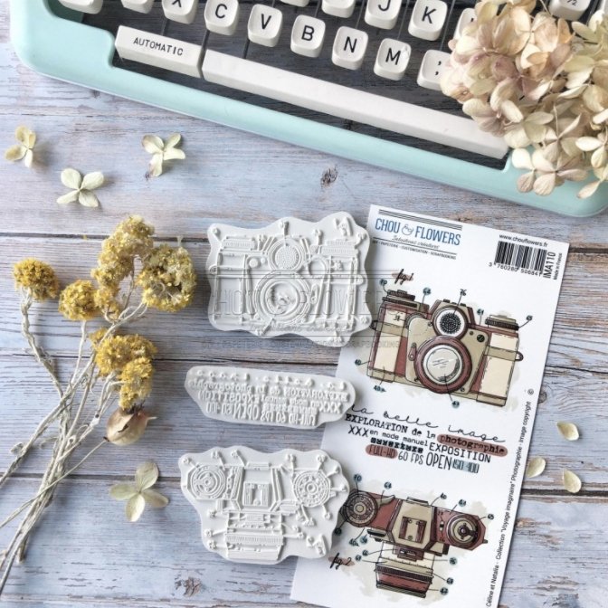 Chou and Flowers - PHOTOGRAPHY STAMP - 7.5 x 4 inch - Collection Voyage Imaginaire Chou and Flowers