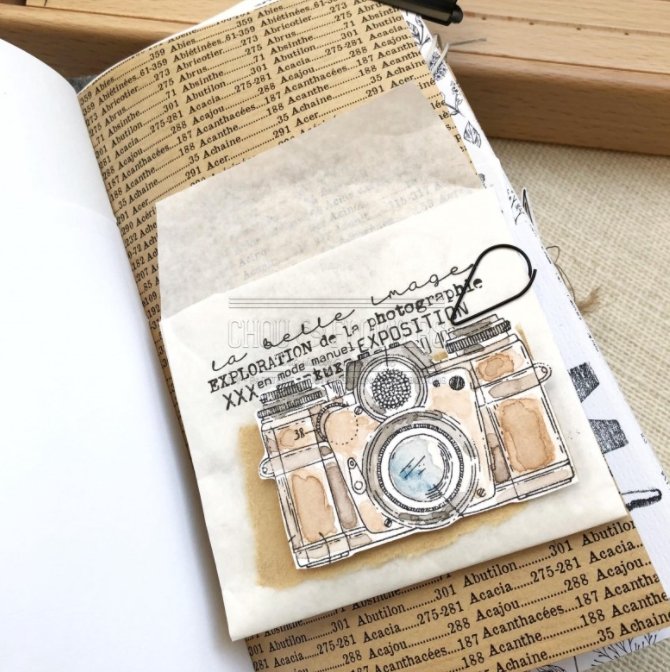 Chou and Flowers - PHOTOGRAPHY STAMP - 7.5 x 4 inch - Collection Voyage Imaginaire Chou and Flowers