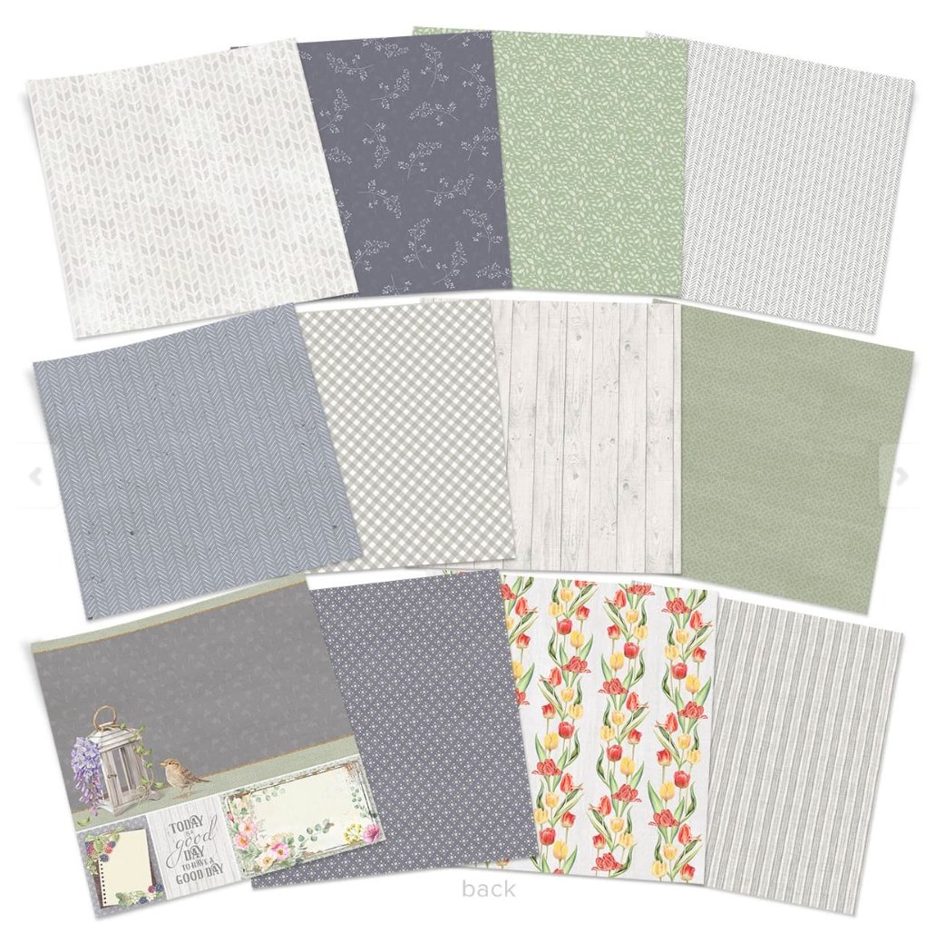 Ciao Bella - SPARROW HILL 8x8 - Collection Pad - 12/PKG Ciao Bella