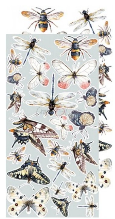 Craft O Clock - 6x12 Paper - Lost In Time - Extras Set Craft O Clock