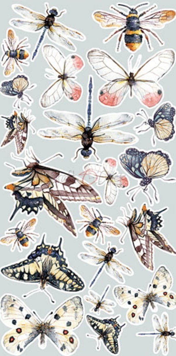 Craft O Clock - 6x12 Paper - Lost In Time - Extras Set Craft O Clock