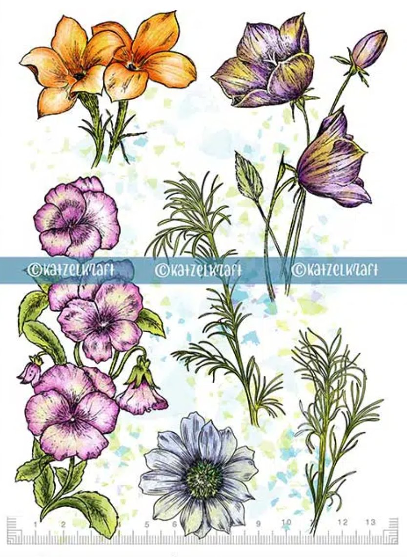 KATZELKRAFT - FLORALIES - A5 FLOWER STAMPS Katzelkraft