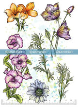 KATZELKRAFT - FLORALIES - A5 FLOWER STAMPS Katzelkraft