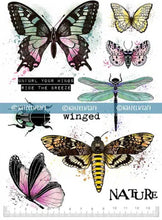 KATZELKRAFT - WINGED - A5 BUTTERFLY STAMPS Katzelkraft